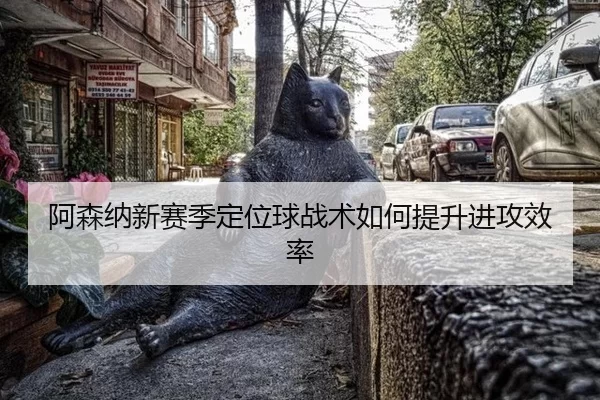 a-sen-na-xin-sai-ji-ding-wei-qiu-zhan-shu-ru-he-ti-sheng-jin-gong-xiao-lv-2-415.jpg