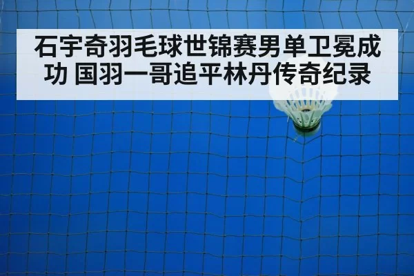 badminton net shot